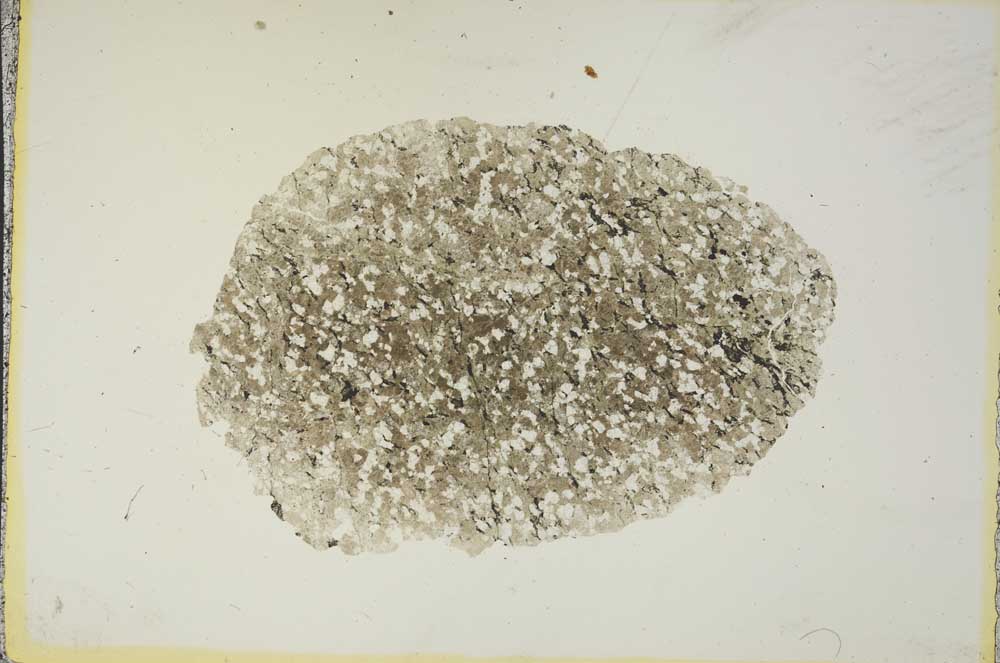 Plane Polarized, S15549