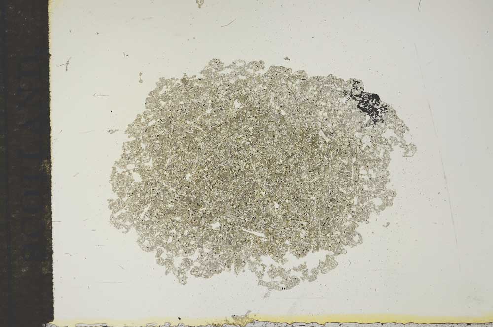 Plane Polarized, S15553