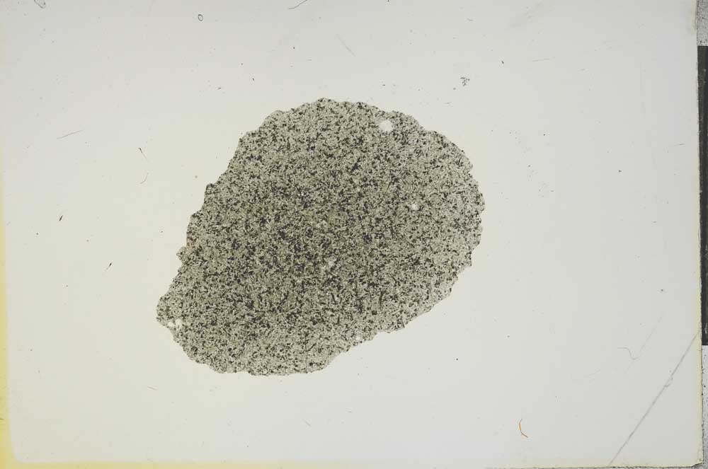 Plane Polarized, S15586