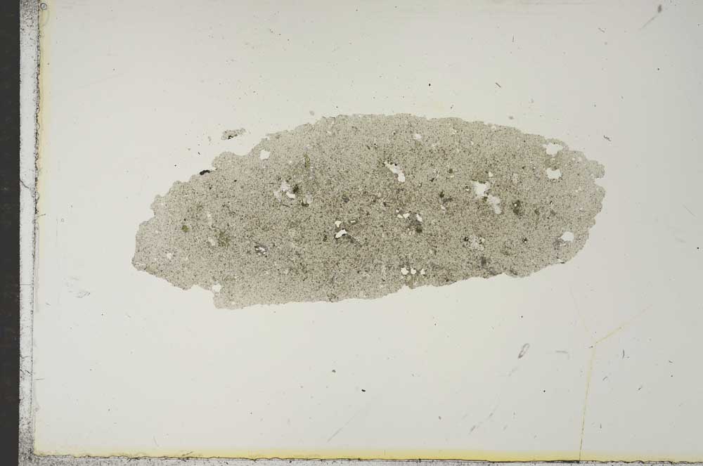 Plane Polarized, S15620