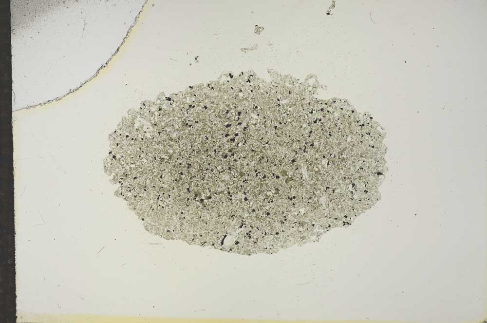 Plane Polarized, S15622
