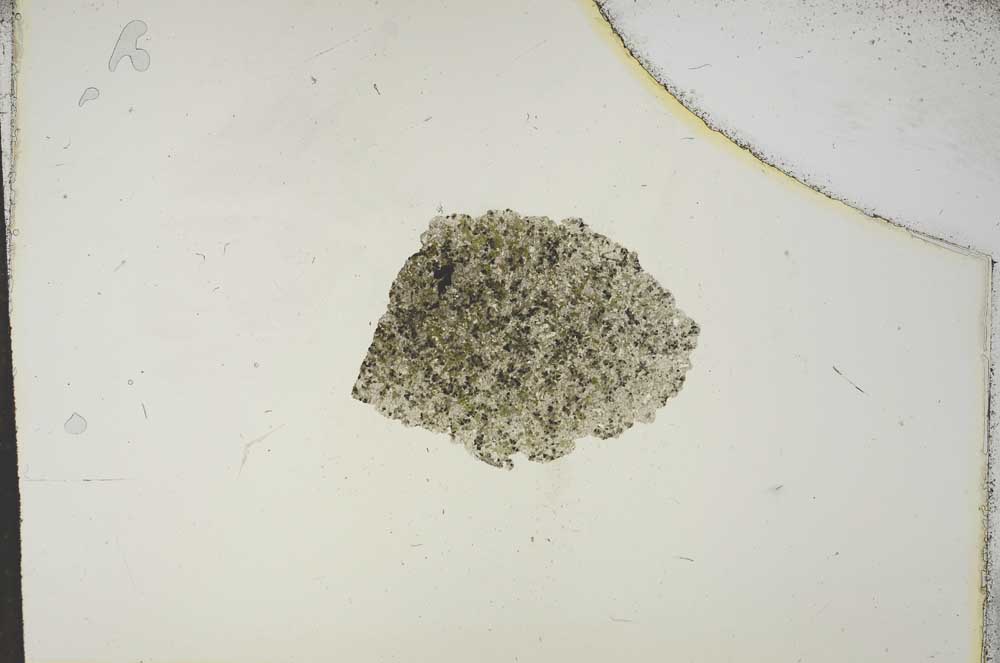 Plane Polarized, S15632