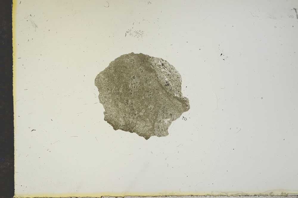 Plane Polarized, S15638