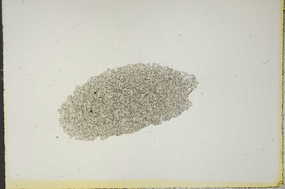 Plane Polarized, S15644