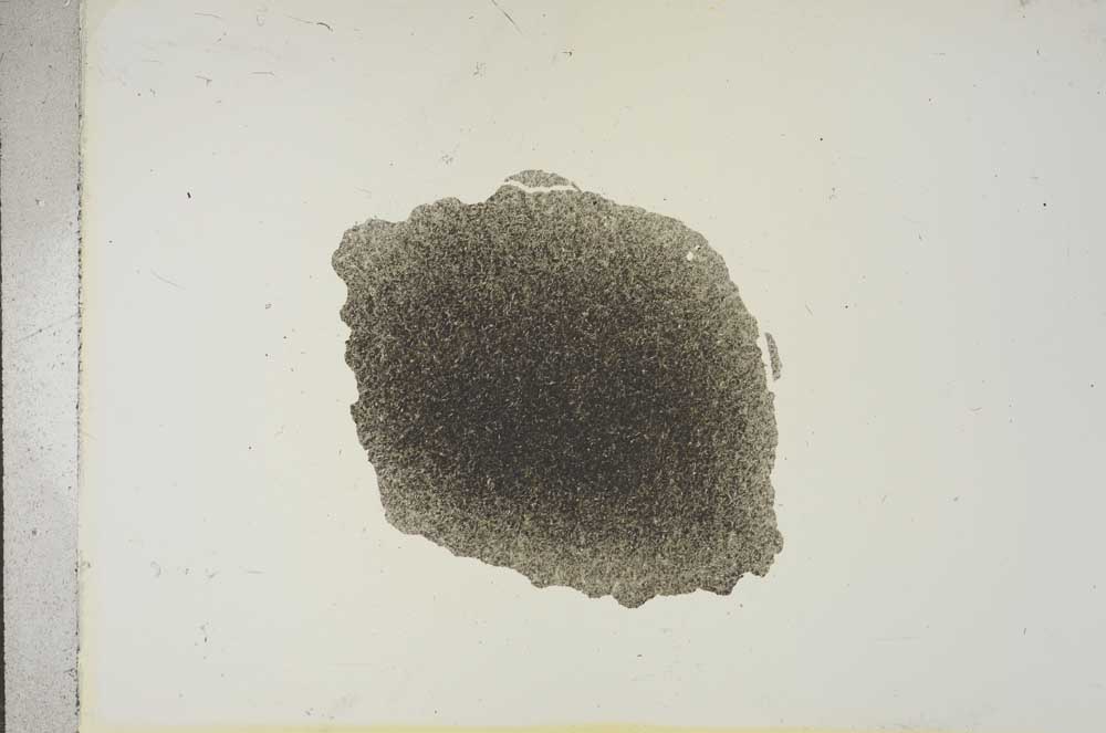 Plane Polarized, S15645