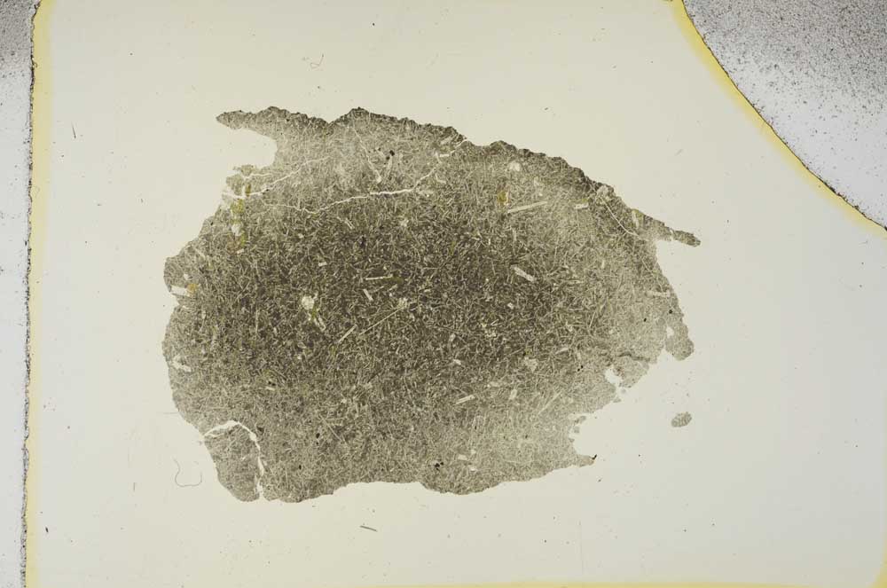 Plane Polarized, S15646