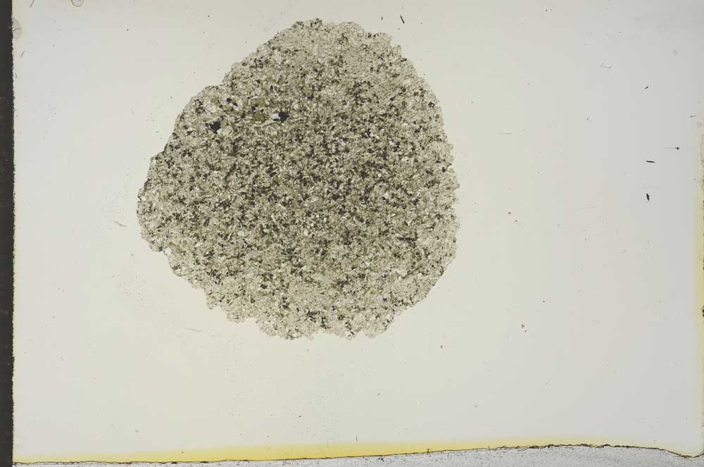 Plane Polarized, S15647