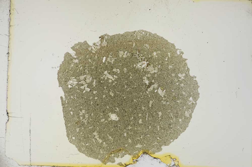 Plane Polarized, S15648