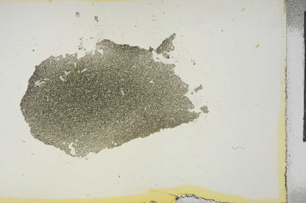 Plane Polarized, S15652