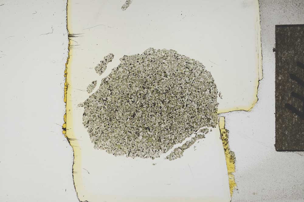 Plane Polarized, S15654