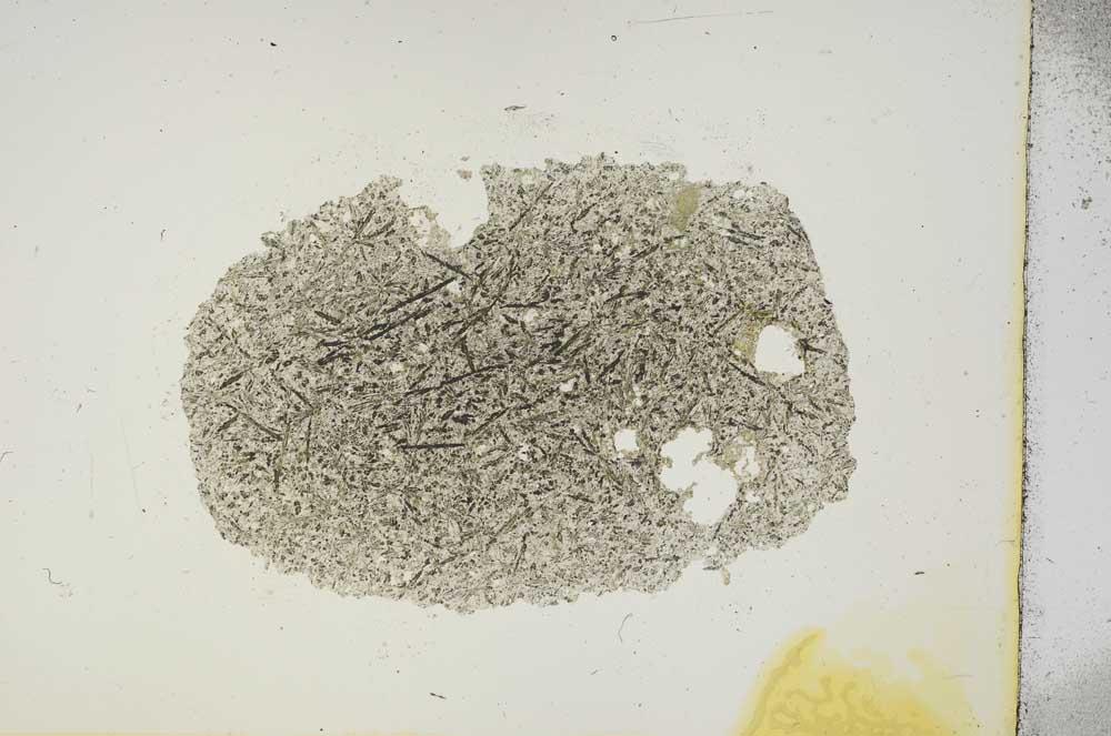 Plane Polarized, S15656