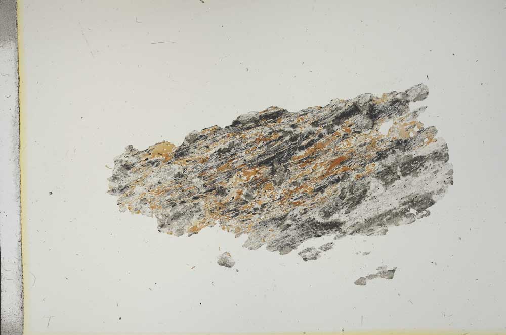 Plane Polarized, S15699