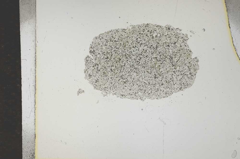 Plane Polarized, S15731