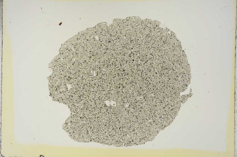 Plane Polarized, S15747