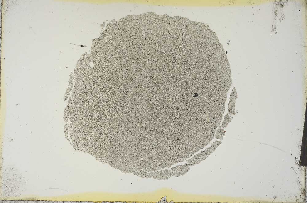 Plane Polarized, S15760