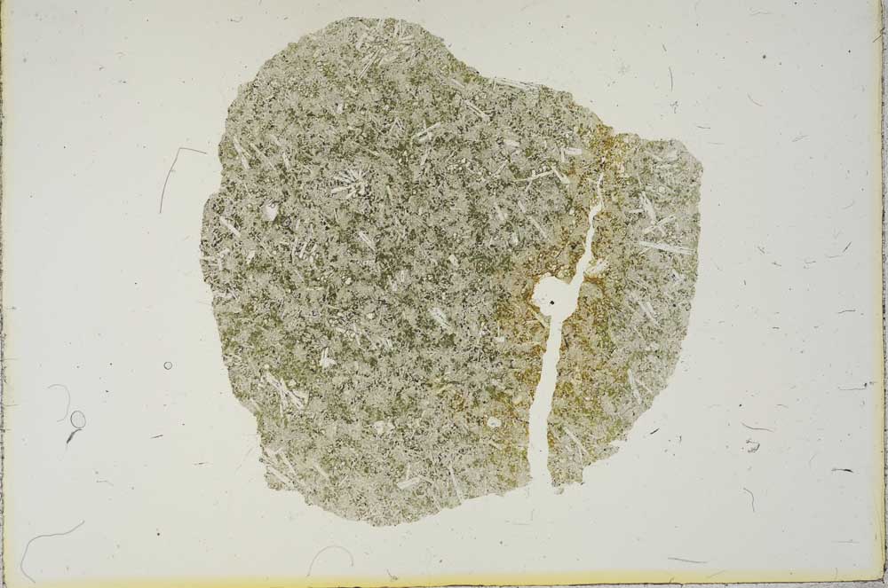Plane Polarized, S15763