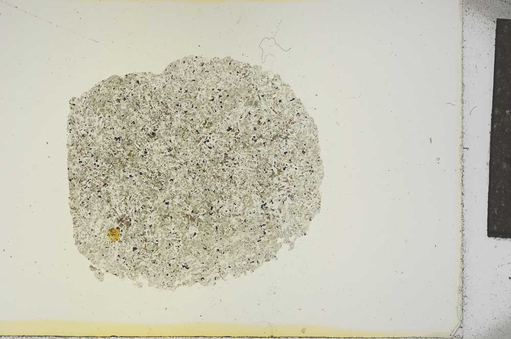 Plane Polarized, S15766
