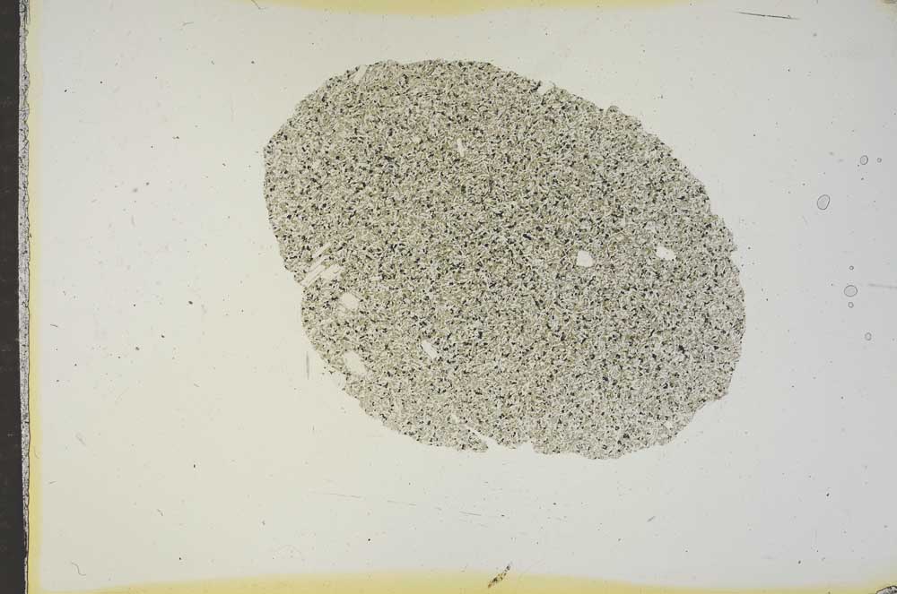 Plane Polarized, S15771