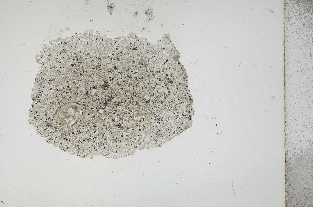 Plane Polarized, S15782