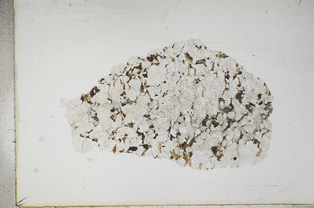 Plane Polarized, S15814