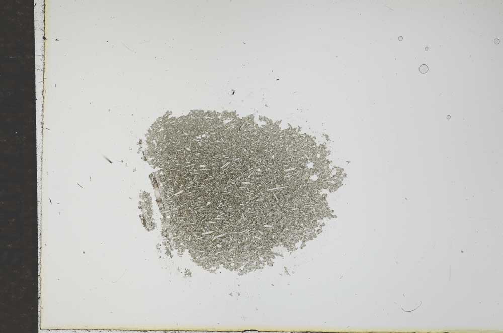 Plane Polarized, S15894