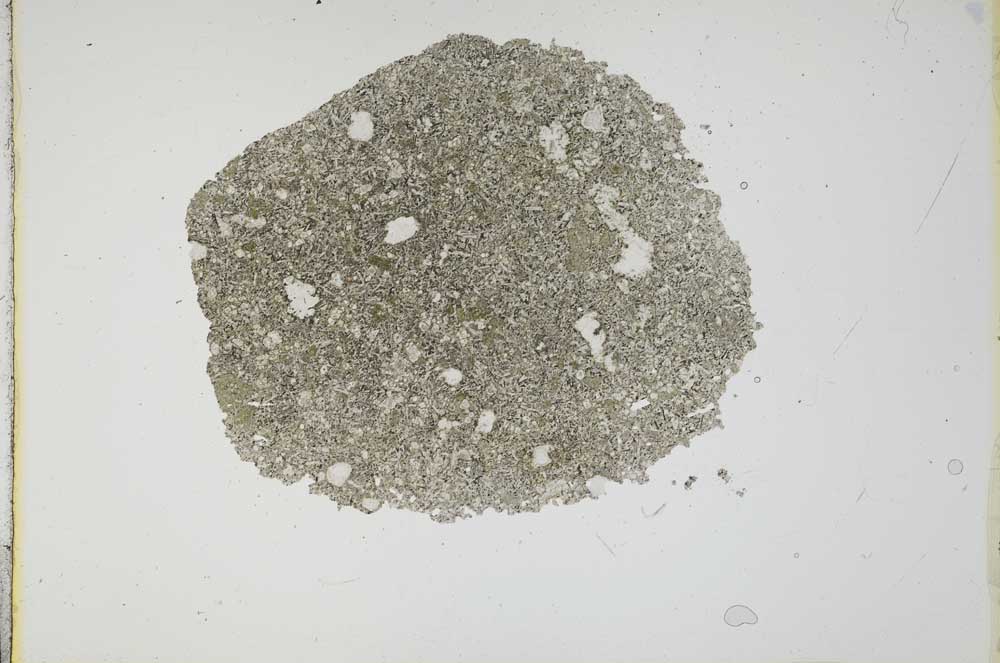 Plane Polarized, S15898
