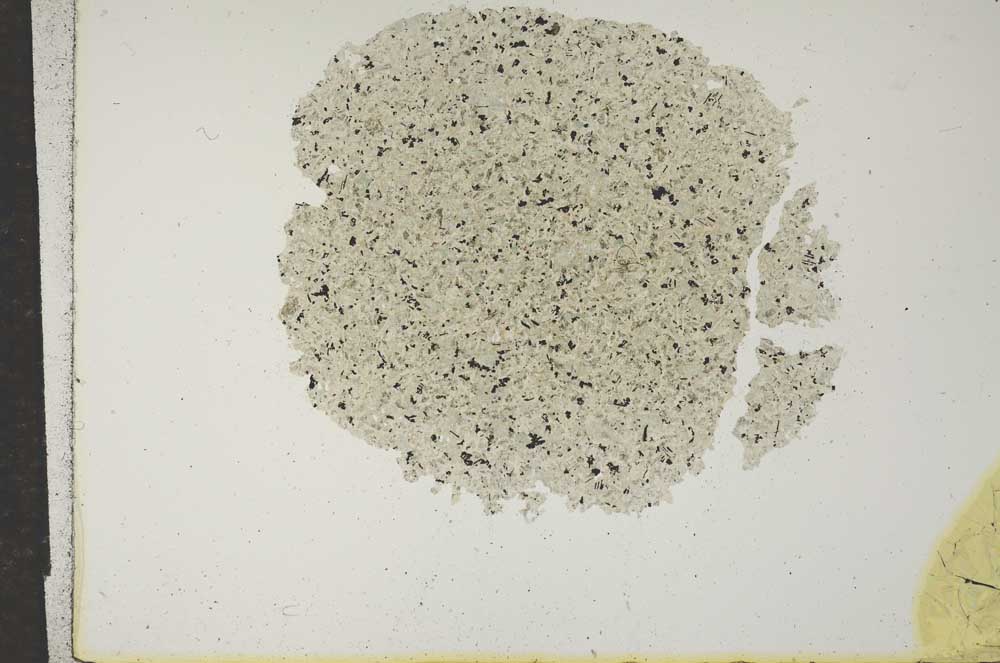 Plane Polarized, S15910