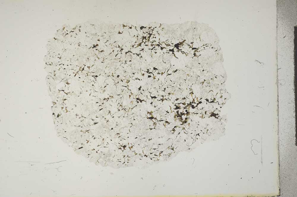 Plane Polarized, S15926