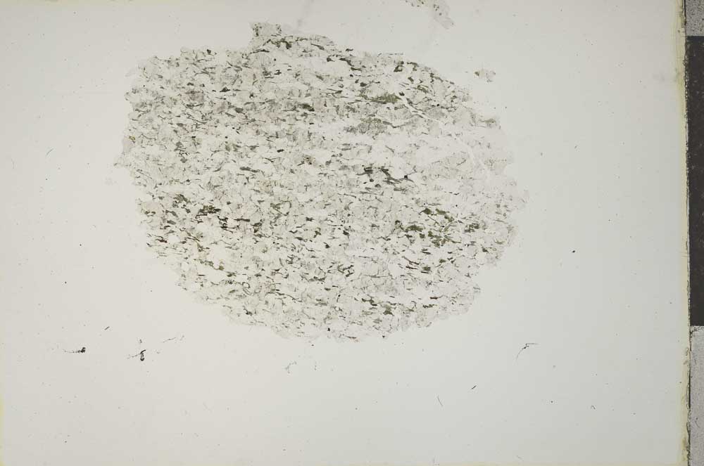 Plane Polarized, S15929