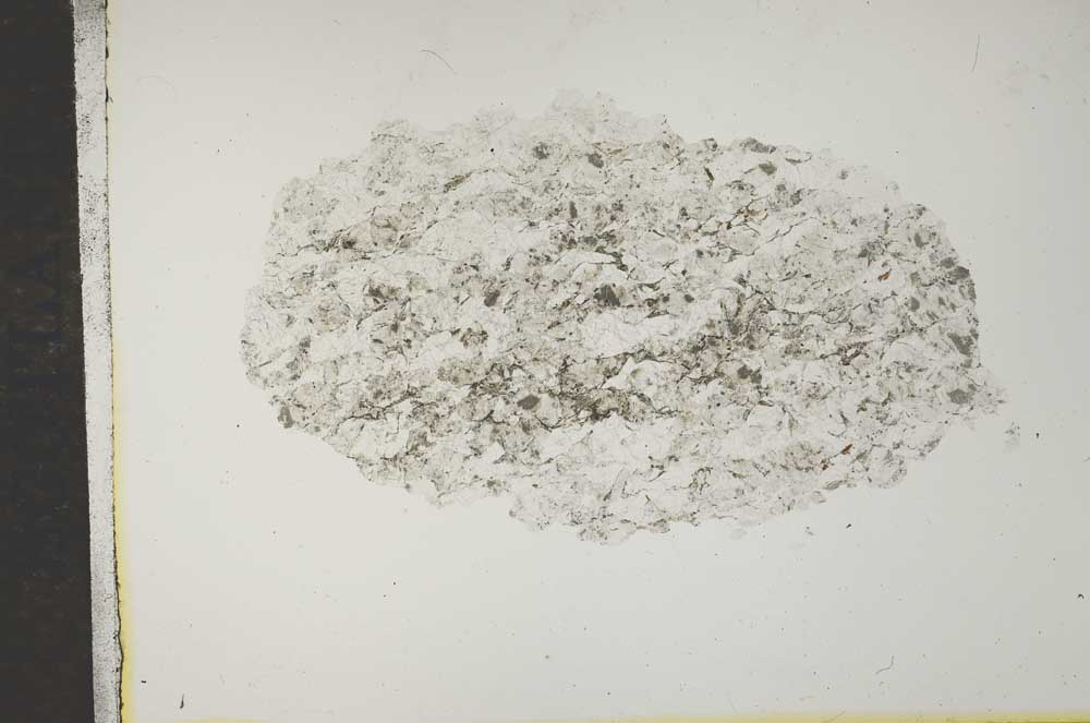 Plane Polarized, S15930