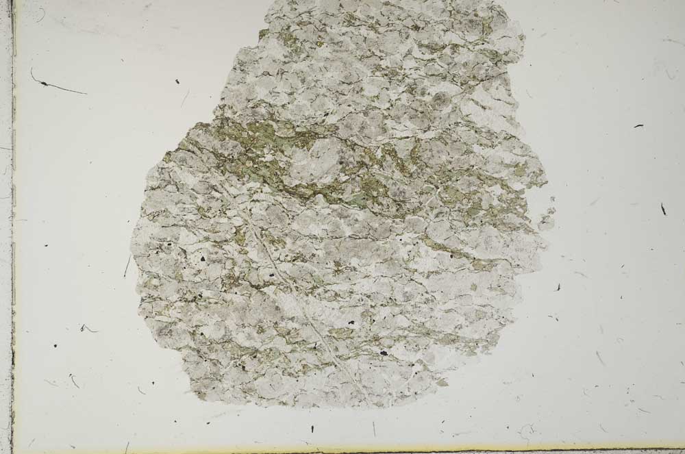 Plane Polarized, S15949