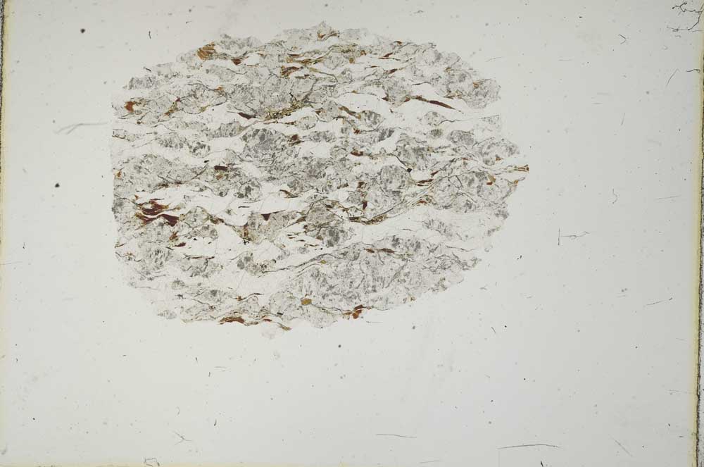 Plane Polarized, S15950