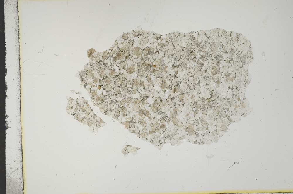 Plane Polarized, S15951