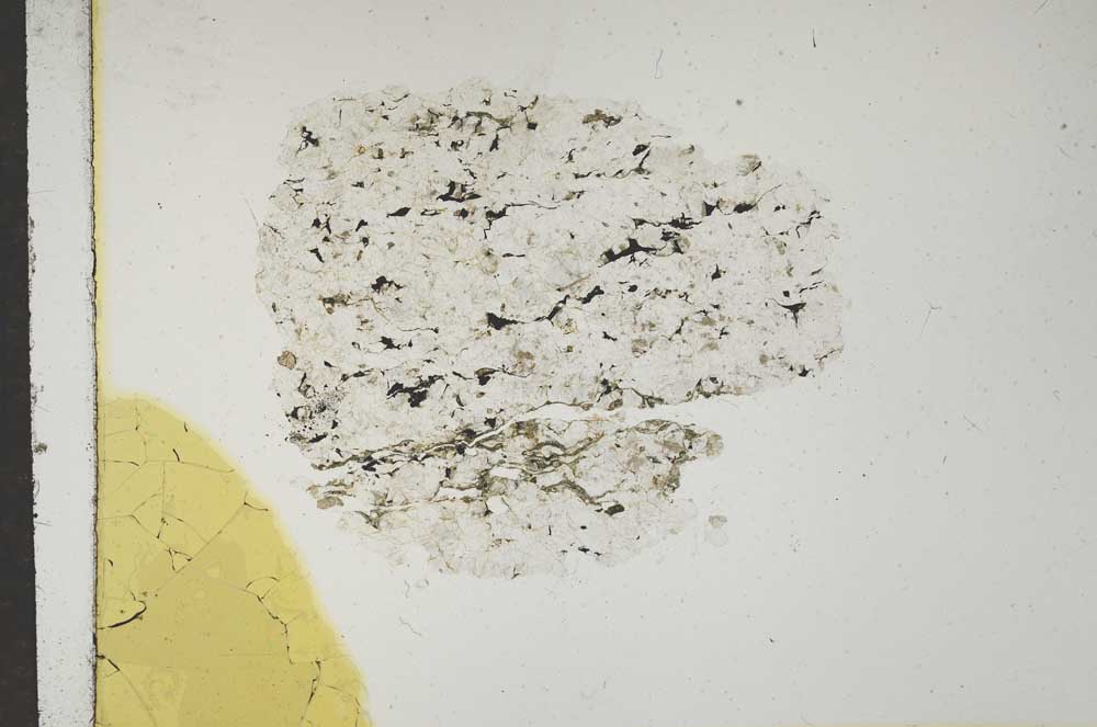 Plane Polarized, S15953