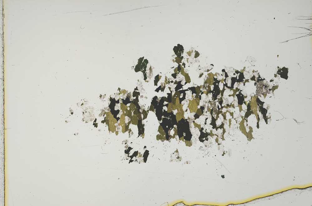 Plane Polarized, S15954