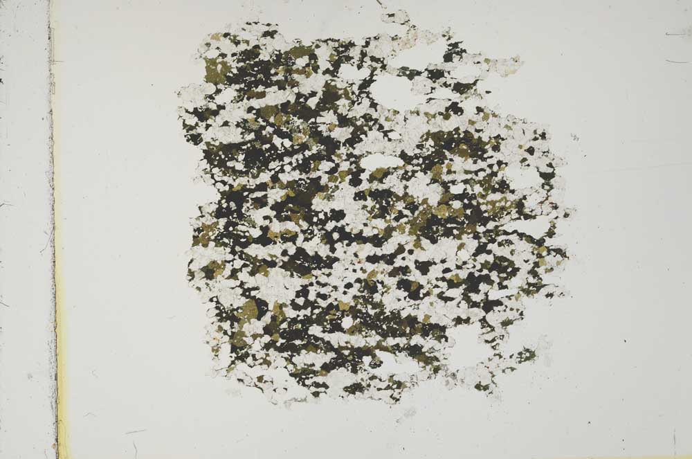 Plane Polarized, S15956