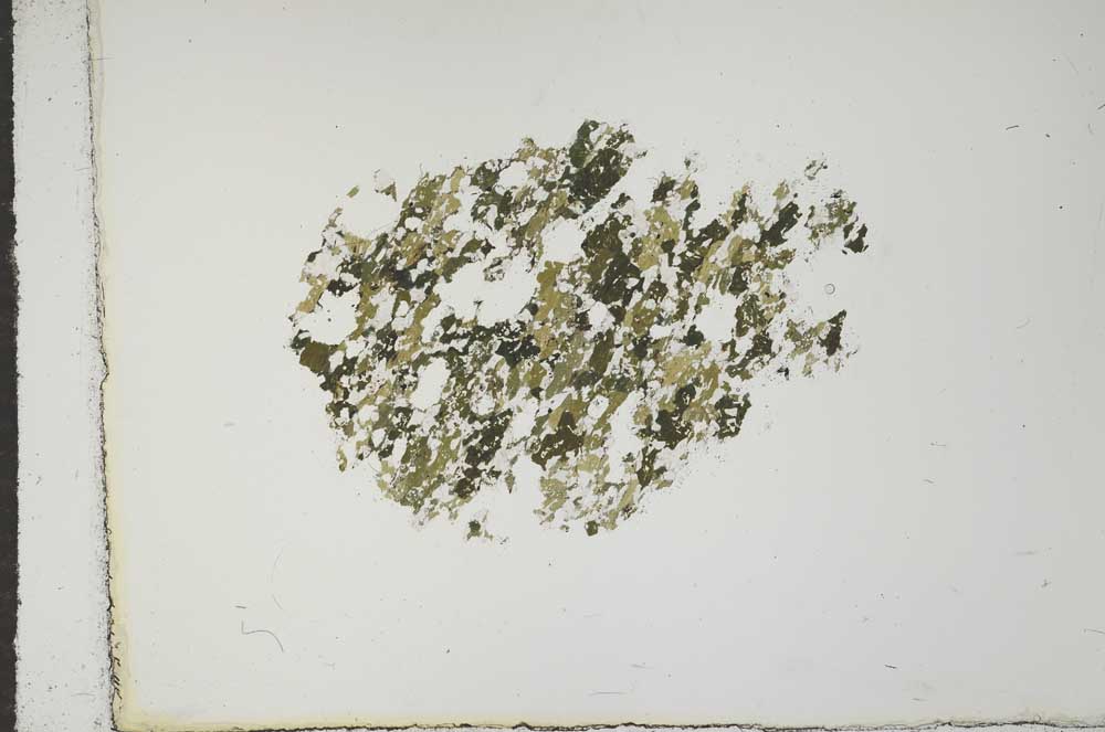 Plane Polarized, S15957