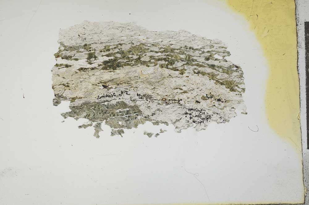 Plane Polarized, S15966/A