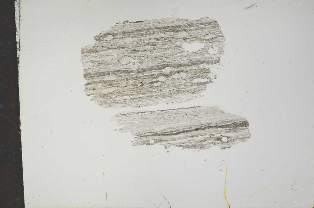 Plane Polarized, S15967