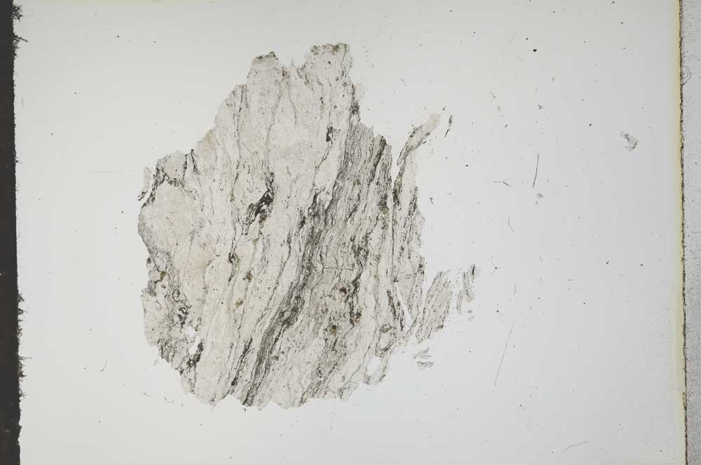 Plane Polarized, S15975