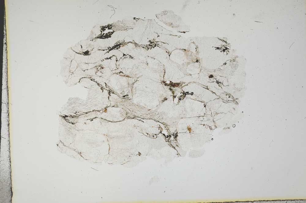 Plane Polarized, S15980