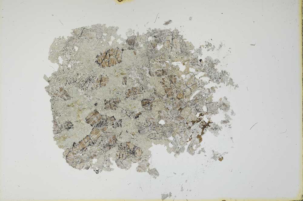 Plane Polarized, S15985