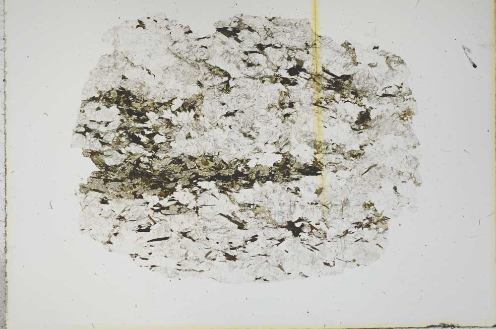 Plane Polarized, S15988