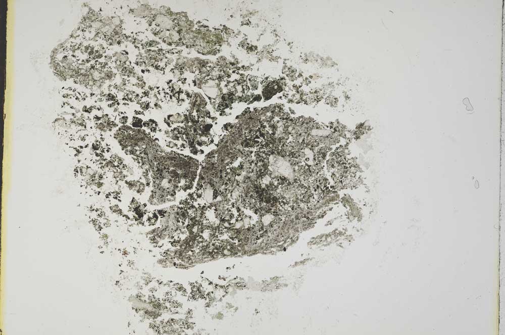 Plane Polarized, S16019