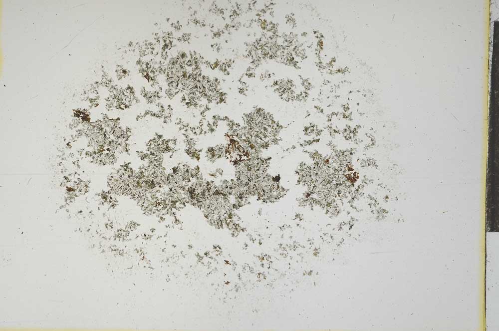 Plane Polarized, S16020