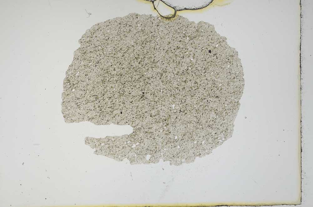 Plane Polarized, S16037