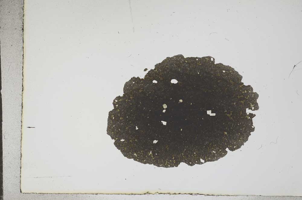 Plane Polarized, S16059