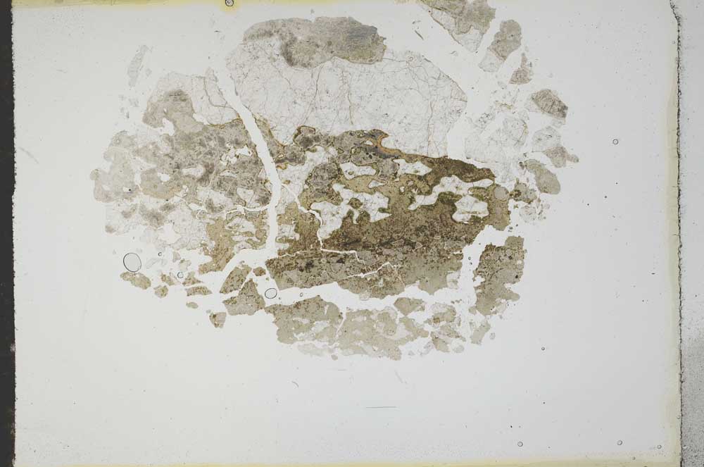 Plane Polarized, S16068