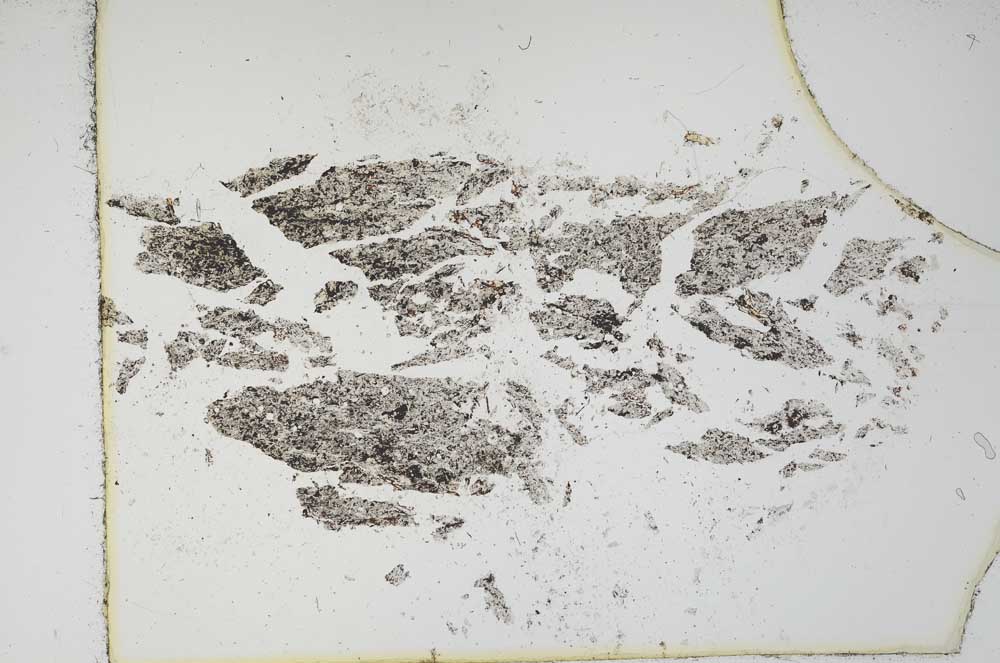Plane Polarized, S16079