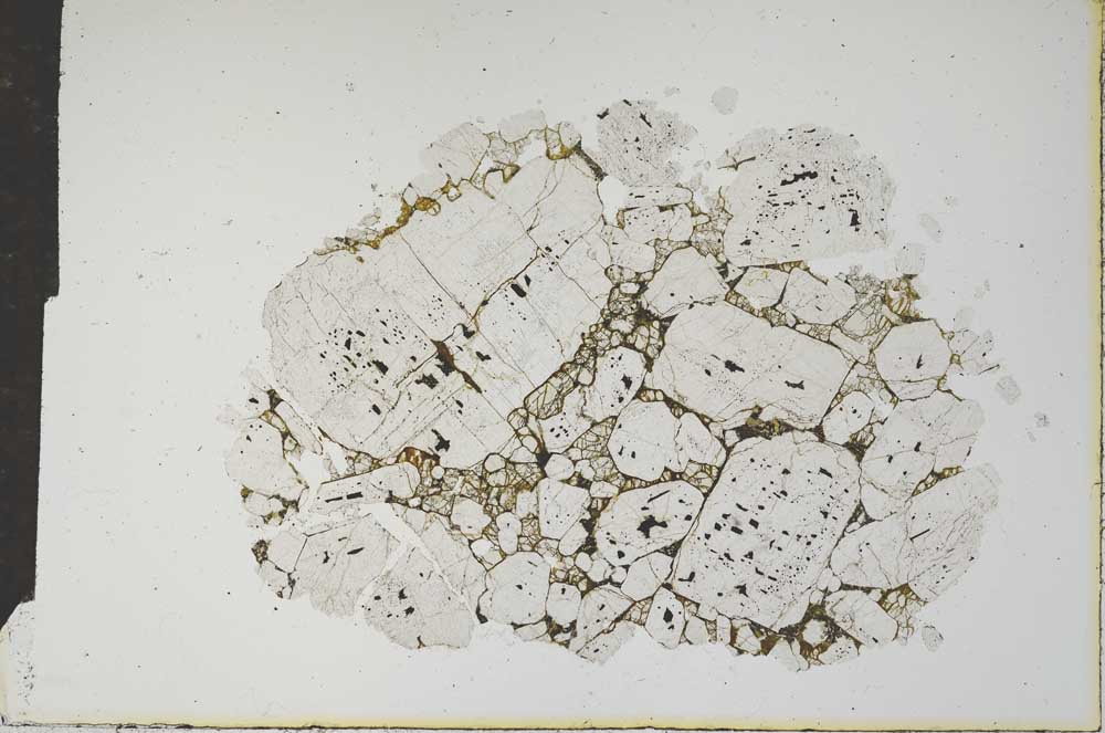 Plane Polarized, S16098